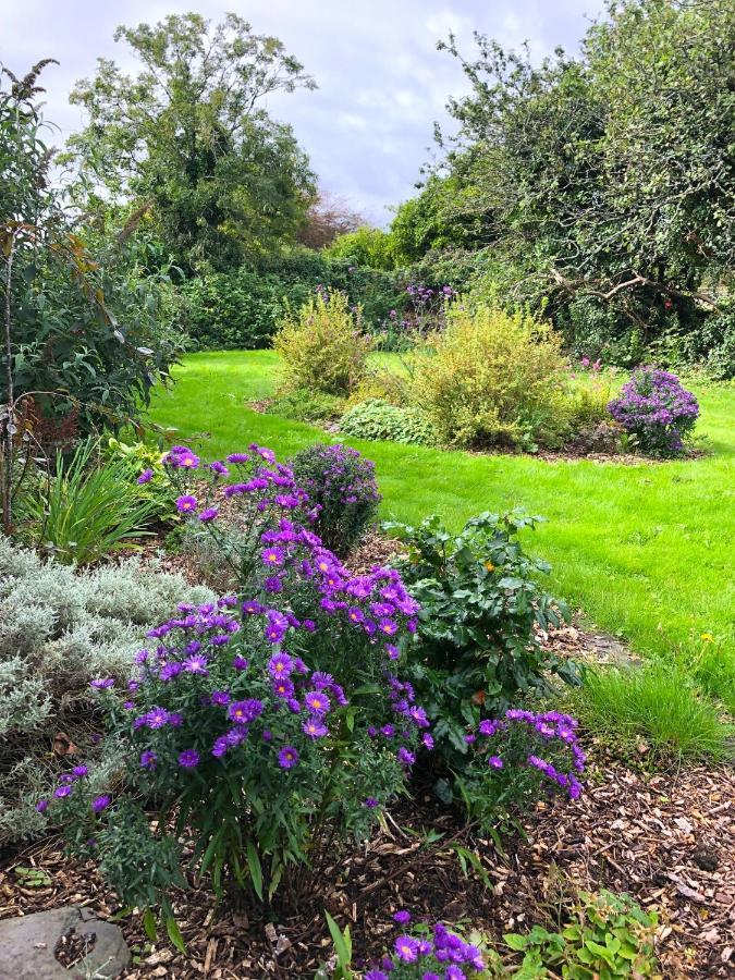Bed and Breakfast Dingle Garden Townhouse Экстерьер фото The gardens at the centre